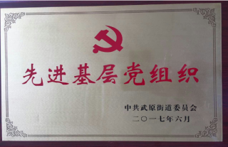 恭喜我司党支部荣获“先进下层党组织”称呼