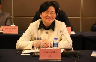 法国驻华使馆和法中电力协会来盐考察