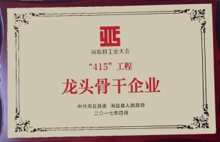 “神”祗忠勤丨公司荣获“415”工程龙头主干企业称呼